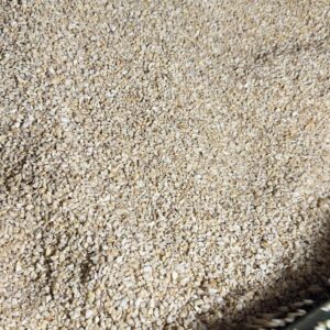 Raw inshell and shelled Cashews W320 W450 LWP SP